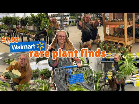 😱 NEW $7 RARE plant finds at Walmart 🤩 EXCITING big box plant shopping spree 🤑