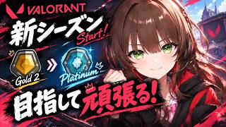 【いつぶり！？】ストレスで食欲を失いVALORANTに逃げる。