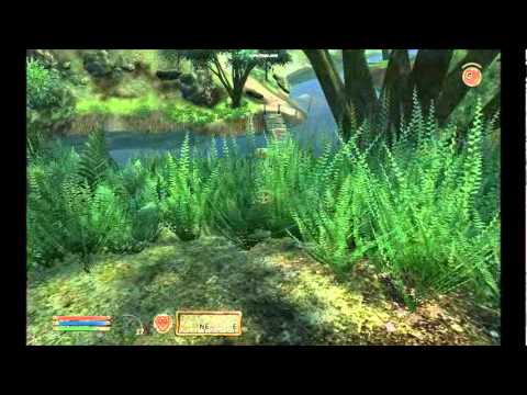 Water's Edge to the Imperial City