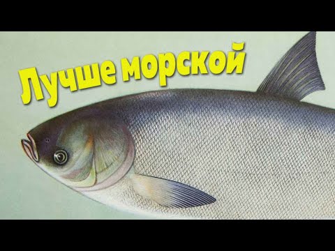 , title : 'Единственная речная рыба у которой пользы больше чем у морской!'