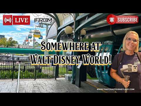 Live webcam of That Crazy Disney Lady