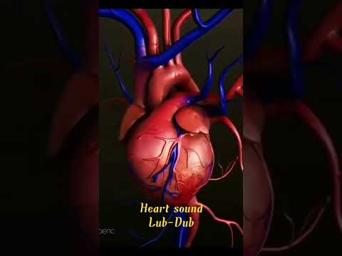 Heart sound...Lub-Dub..          Heartbeat......