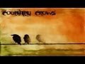 Counting Crows -  Miami ( Lyrics )