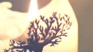 Love-Will-Come-Back-Again | Chaz Robinson