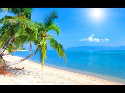 Tropical Island Music - Caribbean Dream