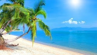 Tropical Island Music - Caribbean Dream