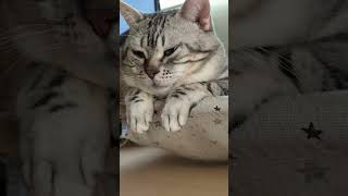 仕事行きます！