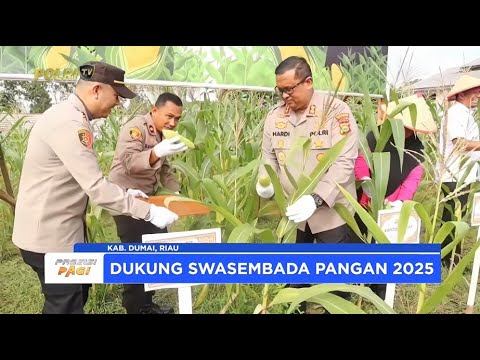 POLRES DUMAI IKUT PANEN RAYA JAGUNG
