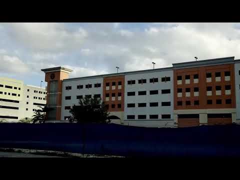 Omy de oro Llama al joyero