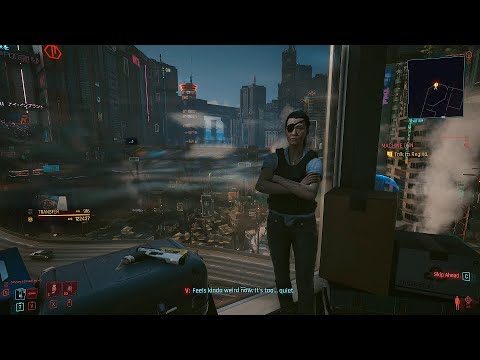 Cyberpunk 2077: Skippy returned to owner