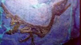 The Tale of the Giant Stoneater