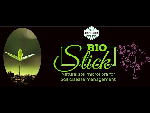 Asmis Grow stick- a magic wand to garden plants for lush green color and growth