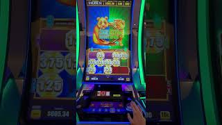 🤯Random $24 spin on Firecracker Slot & BIG WIN! 🤯 #vegas , #jackpot , #casino Video Video
