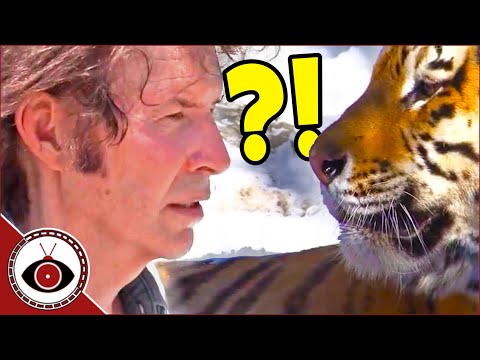 Neil Breen’s Movies Are So Weird, They Should Be a Controlled Substance - Pass Through