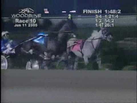 2005 Woodbine ADMIRALS EXPRESS Track Record