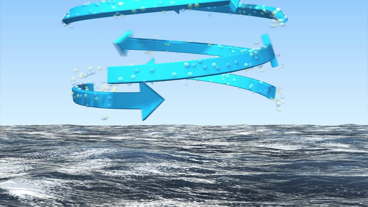 youtube video id=q0wRv0C1wxo