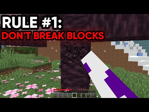 I Ruined A Charity Minecraft Event