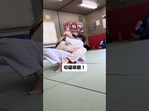 #jiujitsu #bjj #jiu #格闘技 #寝技