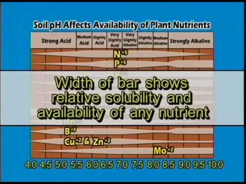 AGPR201 12 12 Soil pH Effects - YouTube