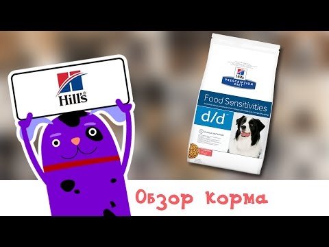 download lagu mp3 mp4 Hills D D Salmon, download lagu Hills D D Salmon gratis, unduh video klip Hills D D Salmon