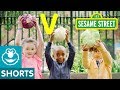 Sesame Street V Is For Vegetable