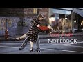 Noah Allie The Notebook The Night We Met
