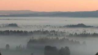 Club Des Belugas - Ketchup Innovation