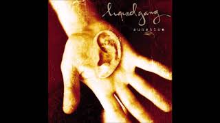 Liquid Gang - Sunshine (Full Album)