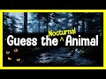 Guess the Animal Sound Game | 12 Nocturnal Animal Sounds Quiz