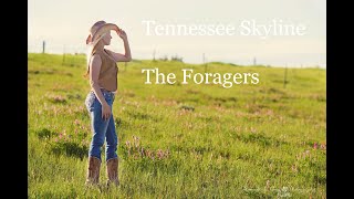 Download lagu Música Modern Country: Tennessee Skyline - The Foragers mp3 Download lagu Música Modern Country: Tennessee Skyline - The Foragers mp3