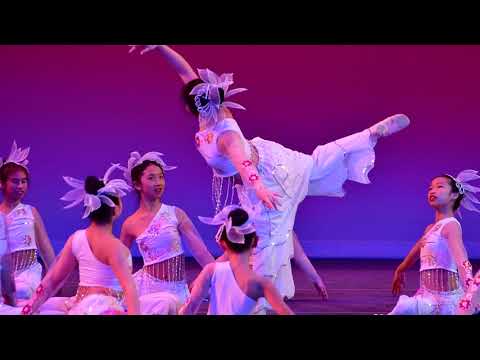 牛顿中文学校2019春晚节目：6 .舞蹈《蝶恋花》-儿童民族舞班 