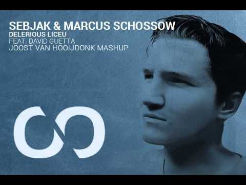Sebjak & Marcus Schossow Feat. David Guetta - Delerious Liceu (Joost van Hooijdonk Mashup)
