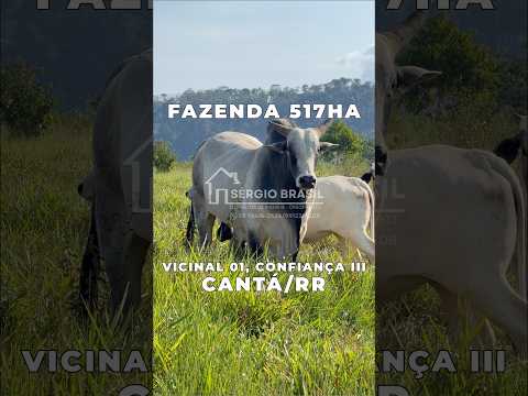 Fazenda 517ha à Venda em Cantá/RR