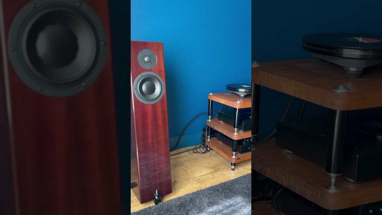 Tevreden klant met Totem Forest Signature + Rega set-up. Muziek zoals het hoort bij Audioexpert!