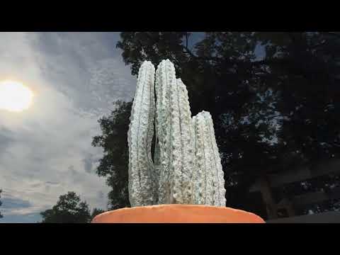 Tula House Spatial Garden v1.0 for visionOS 1.3.  E2E user journey in a Shopify store for visionPro