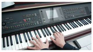 "Price Tag" - Jessie J [Piano Cover by Robin Duizings]