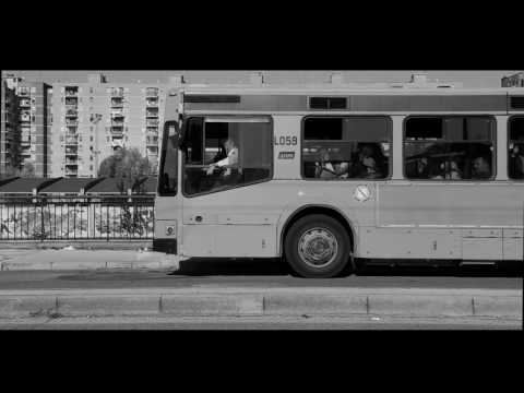 Fiori D'Agave - Booktrailer