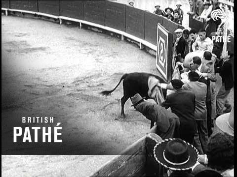 Lady Matador  (1956)