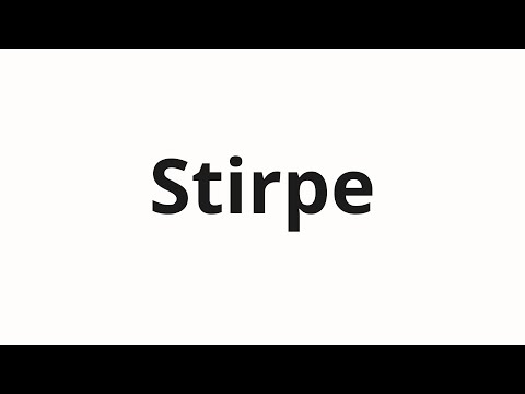 How to pronounce Stirpe