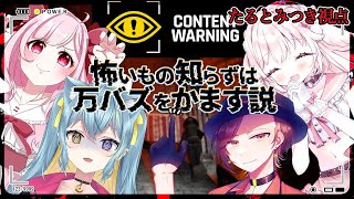 【Content Warning】こわいけどがんばる！【たるとみつき／Vtuber】