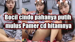 Download lagu Bocil cindo pahanya putih mulus Pamer cd hitamnya mp3 Download lagu Bocil cindo pahanya putih mulus Pamer cd hitamnya mp3