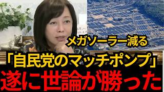 [日本保守党]※遂にメガソーラーが減るか?! 自民党が世論に押されて導入支援を廃止！！[百田尚樹　有本香]
