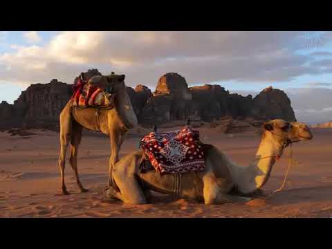 project videos--from rayne