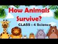 CBSE 4th CBSE SCIENCE How Animals Survive ADAPTATIONS NCERT CBSE Syllabus Animated Vide