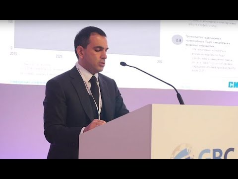 Mikhail Karisalov on the petrochemical industry in Russia