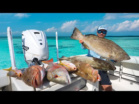 Discovering a Fishing Spot that Shouldn’t Exist | Epic Islamorada Frenzy for Huge Grouper & Snapper 