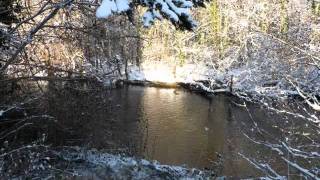 Lucan Demesne Dec 2010.wmv