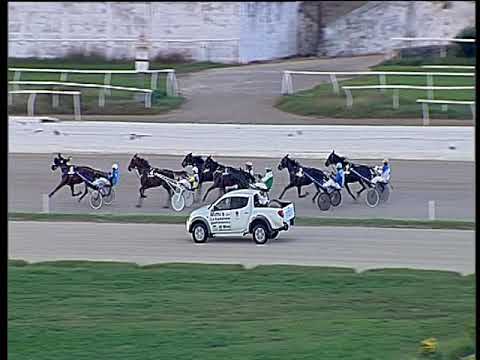 Trotto 12/11/2019 - 2ª corsa