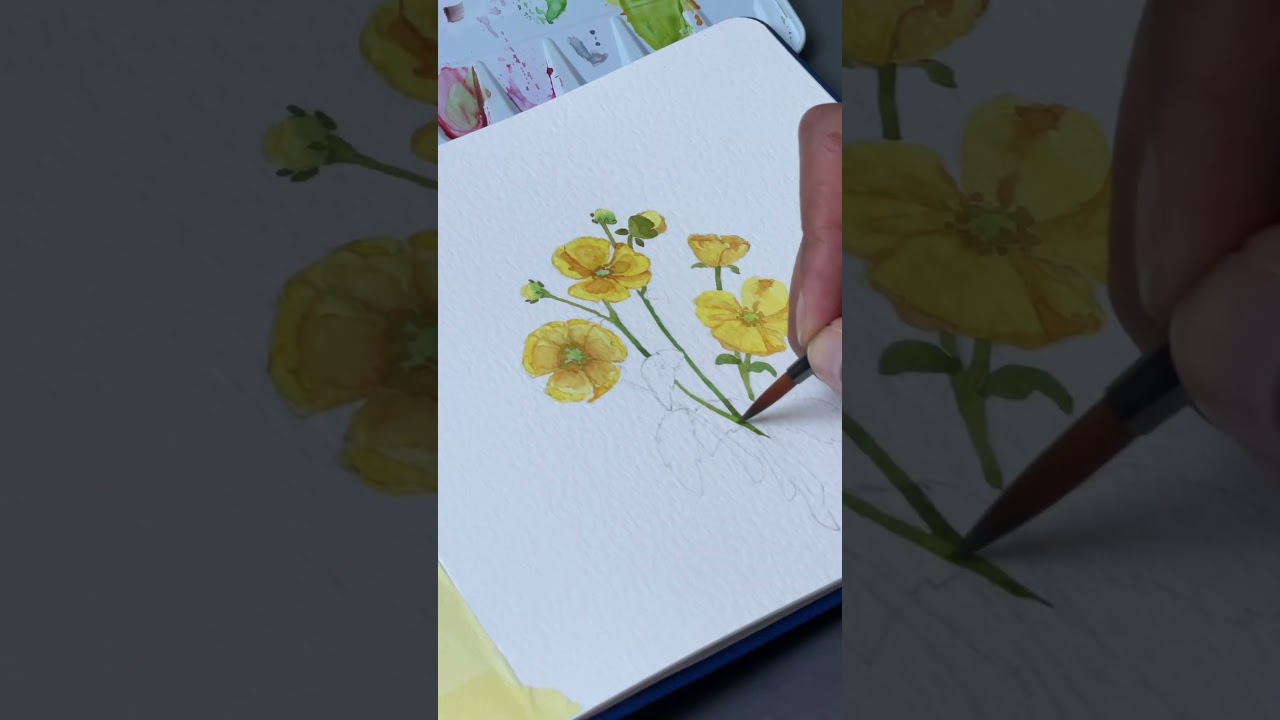Let’s paint a buttercup flower #paintingprocess #watercolorpainting #watercolorfloral