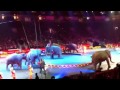 Ringling Bros Barnum And Bailey